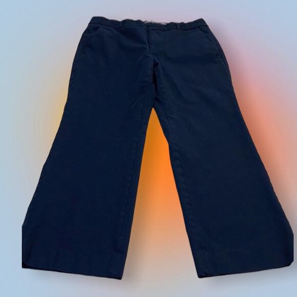 BANANA REPUBLIC Women’s 10 Blue Heavyweight Pant - Picture 1 of 4